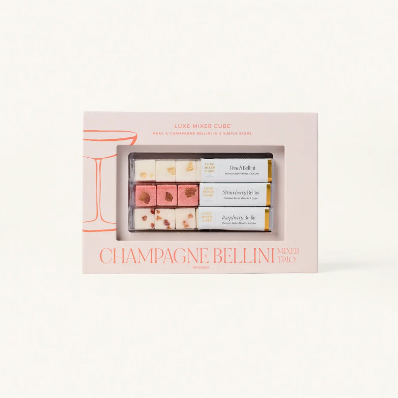 Champagne Bellini Mixer Kit | Case Pack of 6