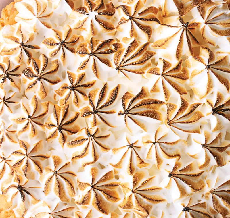 PREORDER | Coconut Cream Pie Matcha Case Pack of 6
