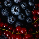 Close-up of blueberries and red currants on a dark background
