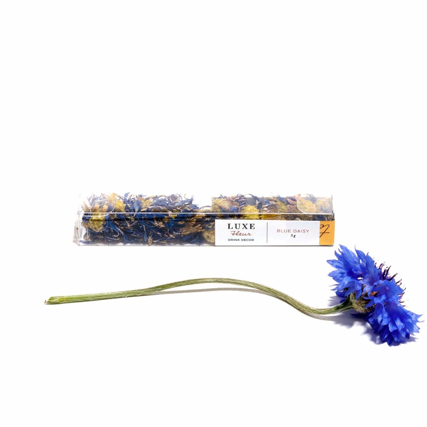 BLUE DAISY PETALS | Wholesale